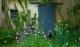 le ptit potager